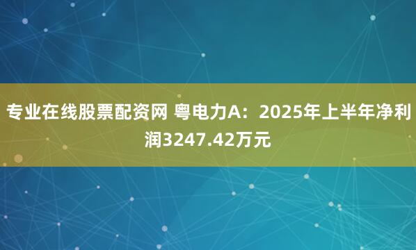 专业在线股票配资网 粤电力A：2025年上半年净利润3247.42万元