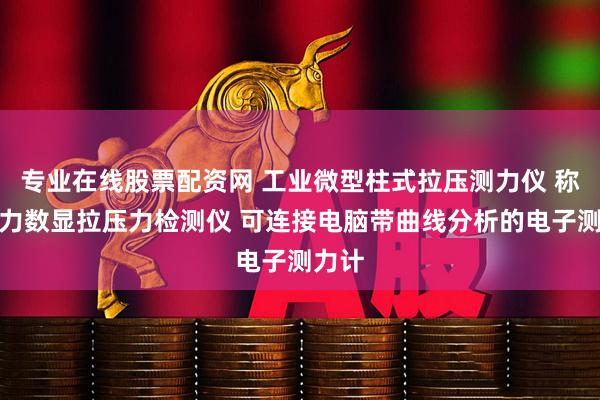 专业在线股票配资网 工业微型柱式拉压测力仪 称重测力数显拉压力检测仪 可连接电脑带曲线分析的电子测力计